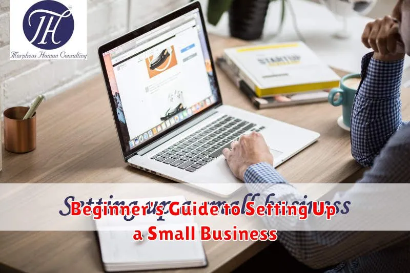 Beginner's Guide to Setting Up a Small Business